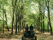 outdoor veluwe de cantharel van der valk